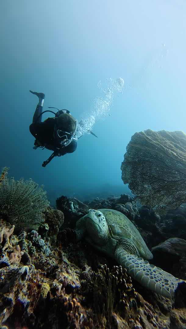 Semporna Diver RexTeam photo 7