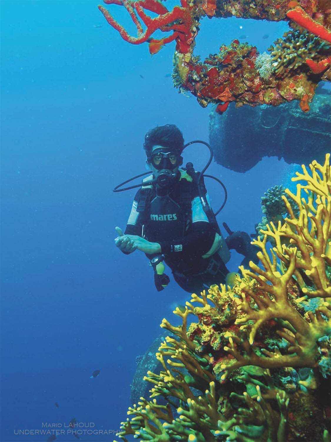 Aqaba Shark Dive Centre photo 2