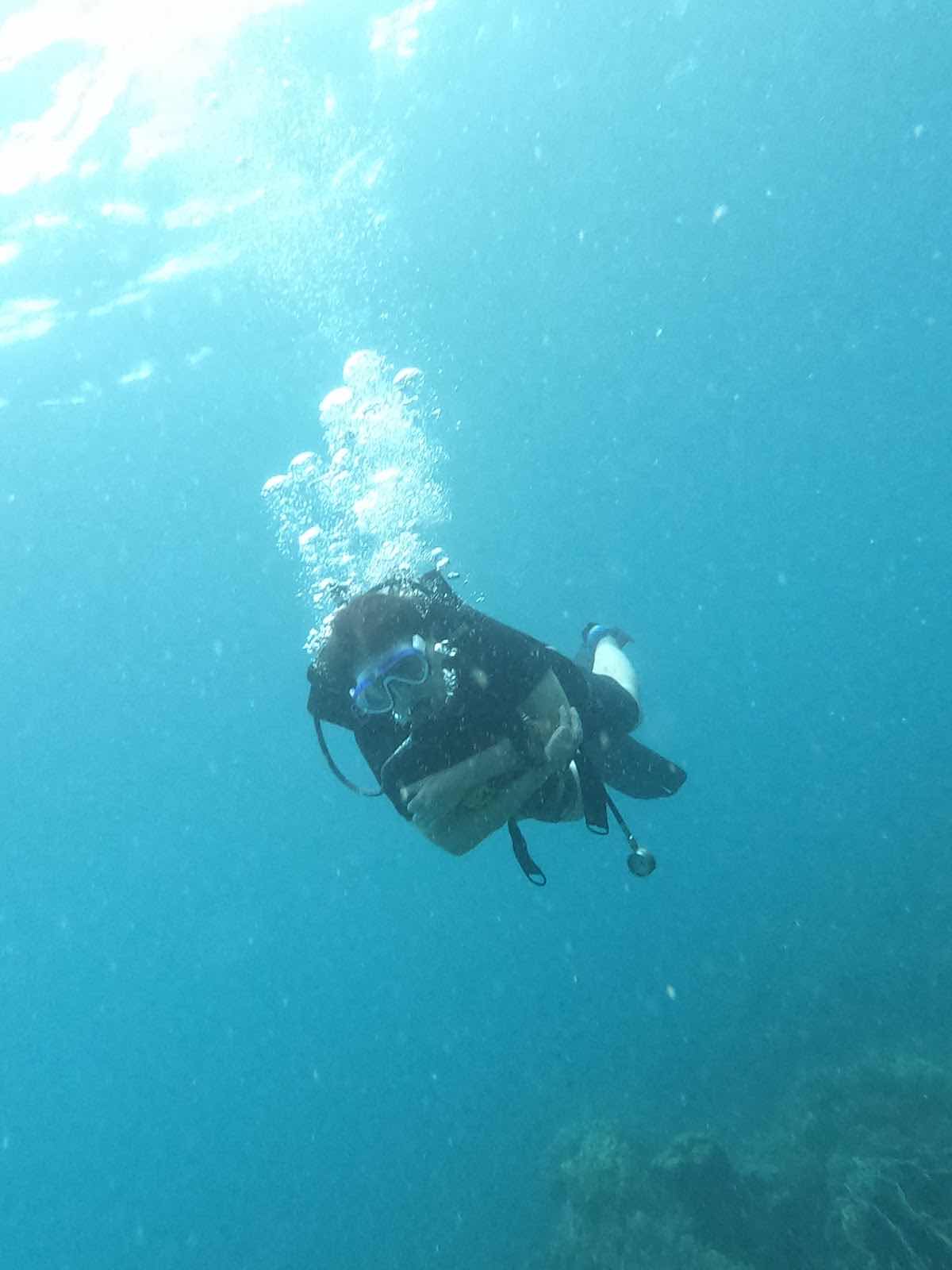 Member Diving - Snorkeling & Scuba Diving Center photo 1