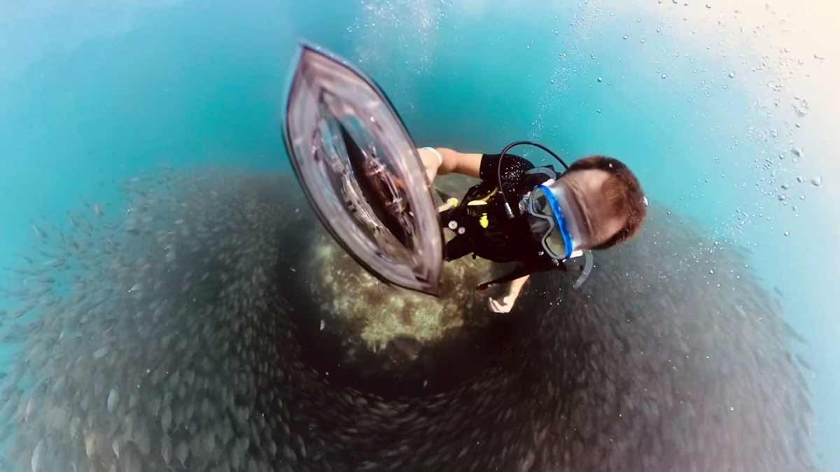 Member Diving - Snorkeling & Scuba Diving Center photo 9