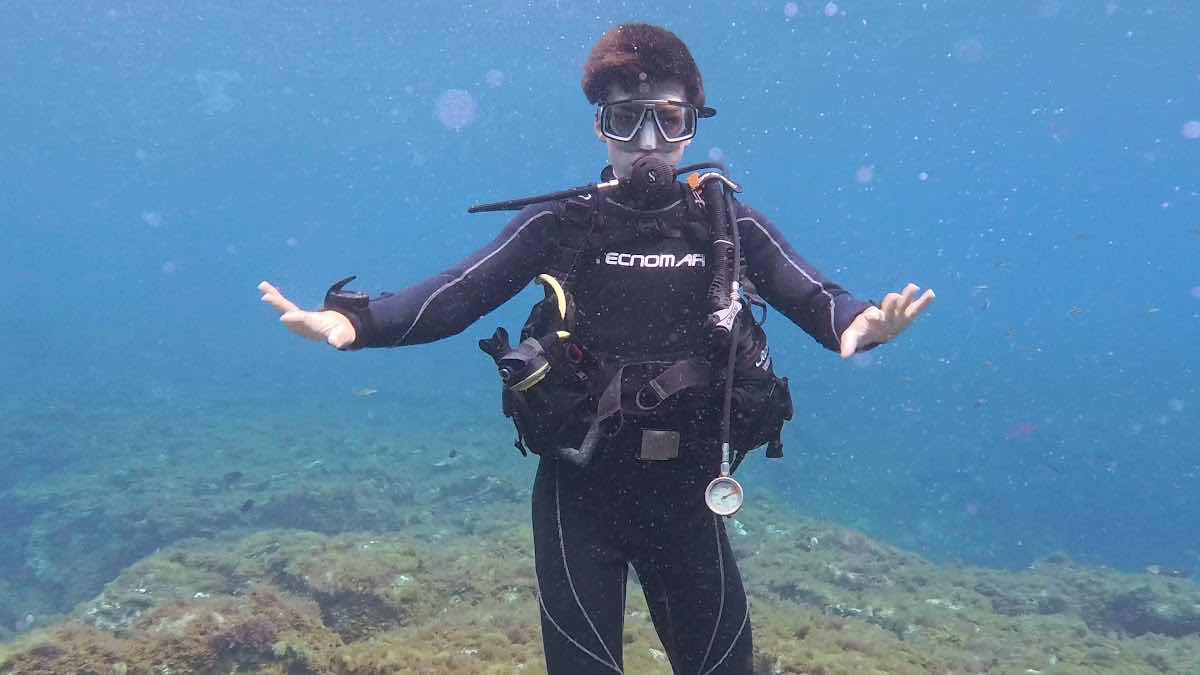 Paradise Divers photo 3