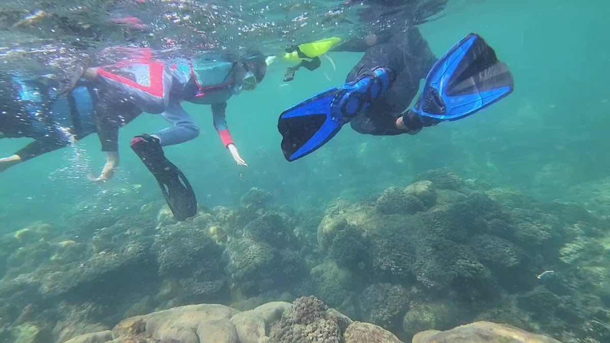 Onbird Phu Quoc photo 3