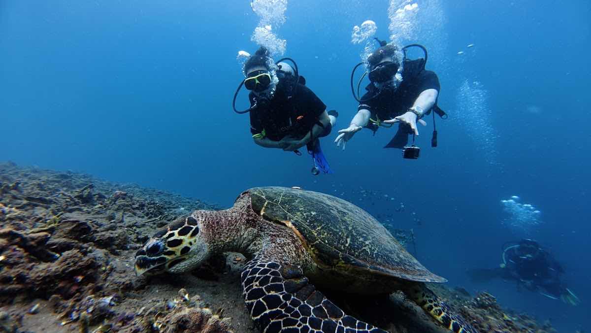 Liquid Blue Bali - Deutsche Tauchschule Amed, Bali photo 10
