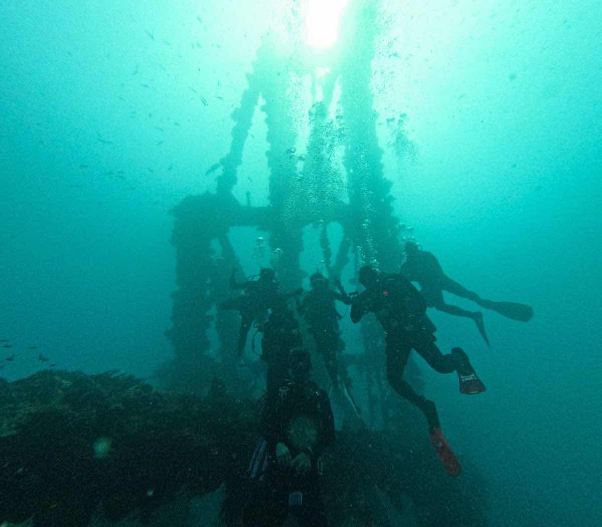 Palau Dive Adventures photo 4