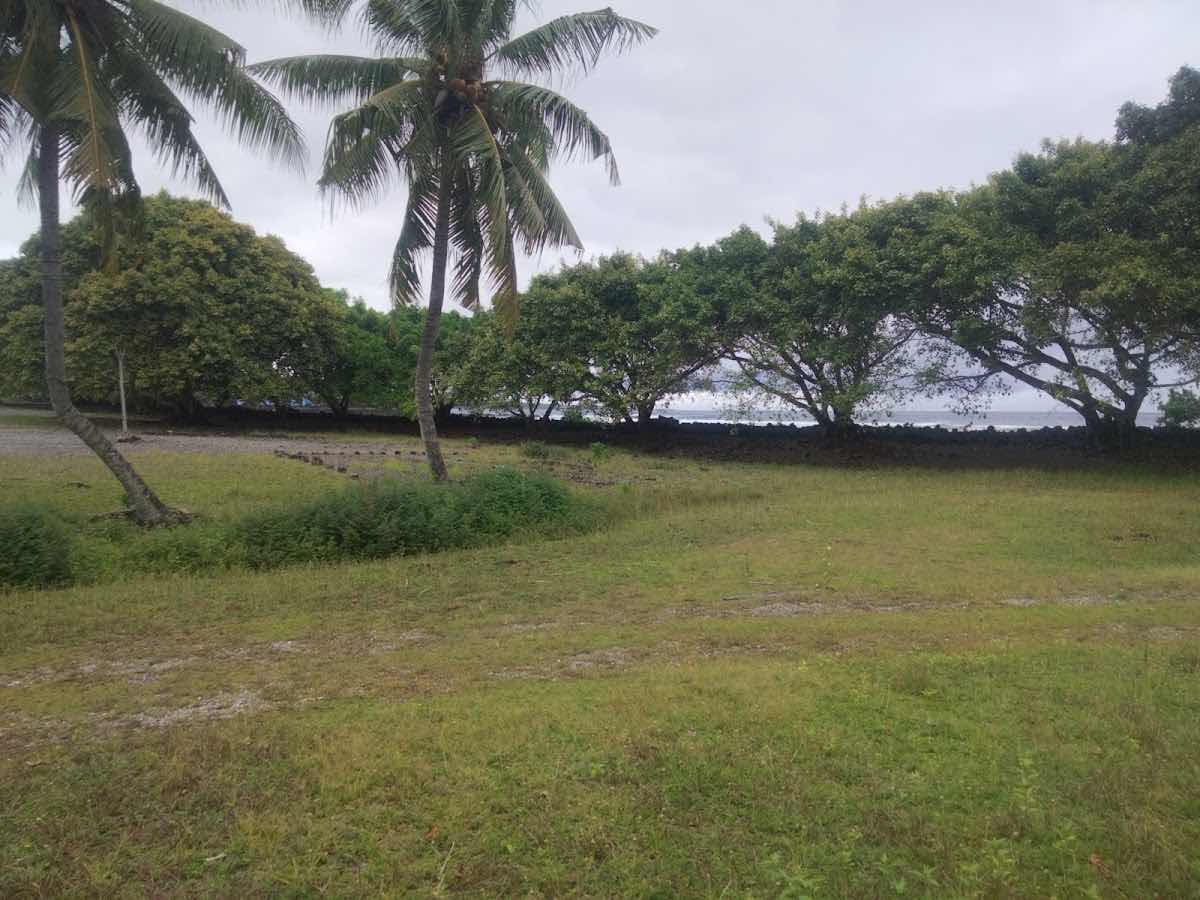 Dive Savaii photo 5