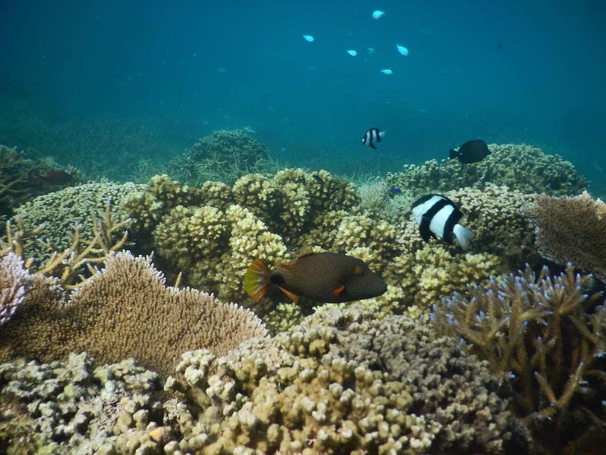 Ark Marine photo 3