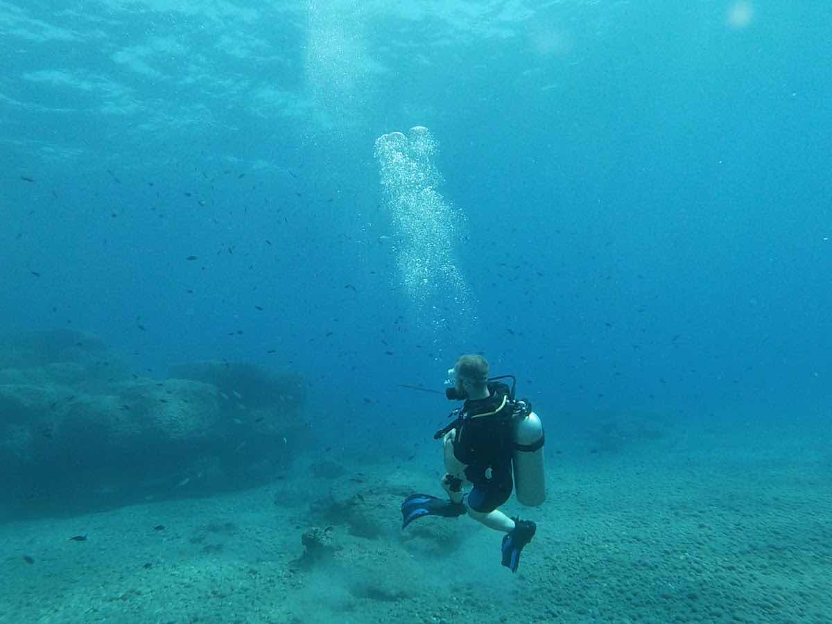Crab Divers dive center photo 3