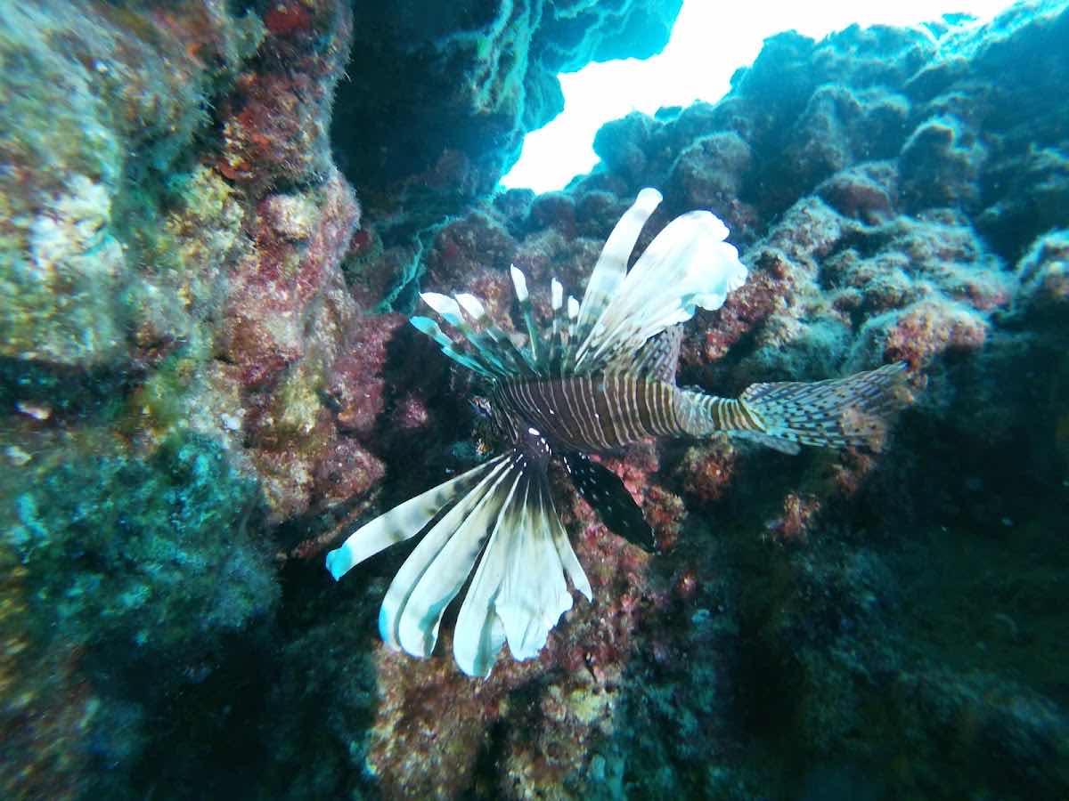 Crab Divers dive center photo 10