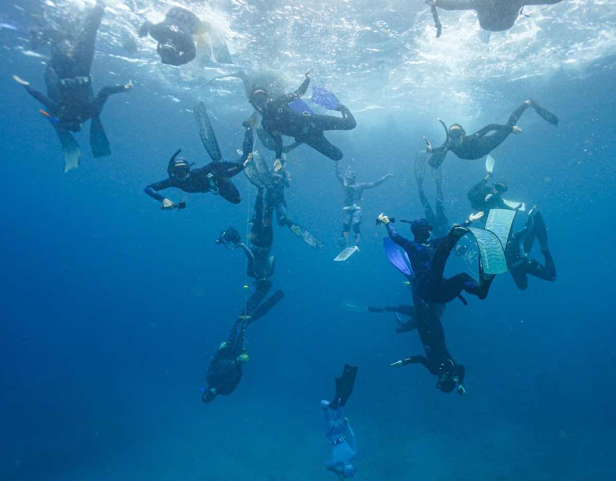 Dive Centre Bondi photo 10