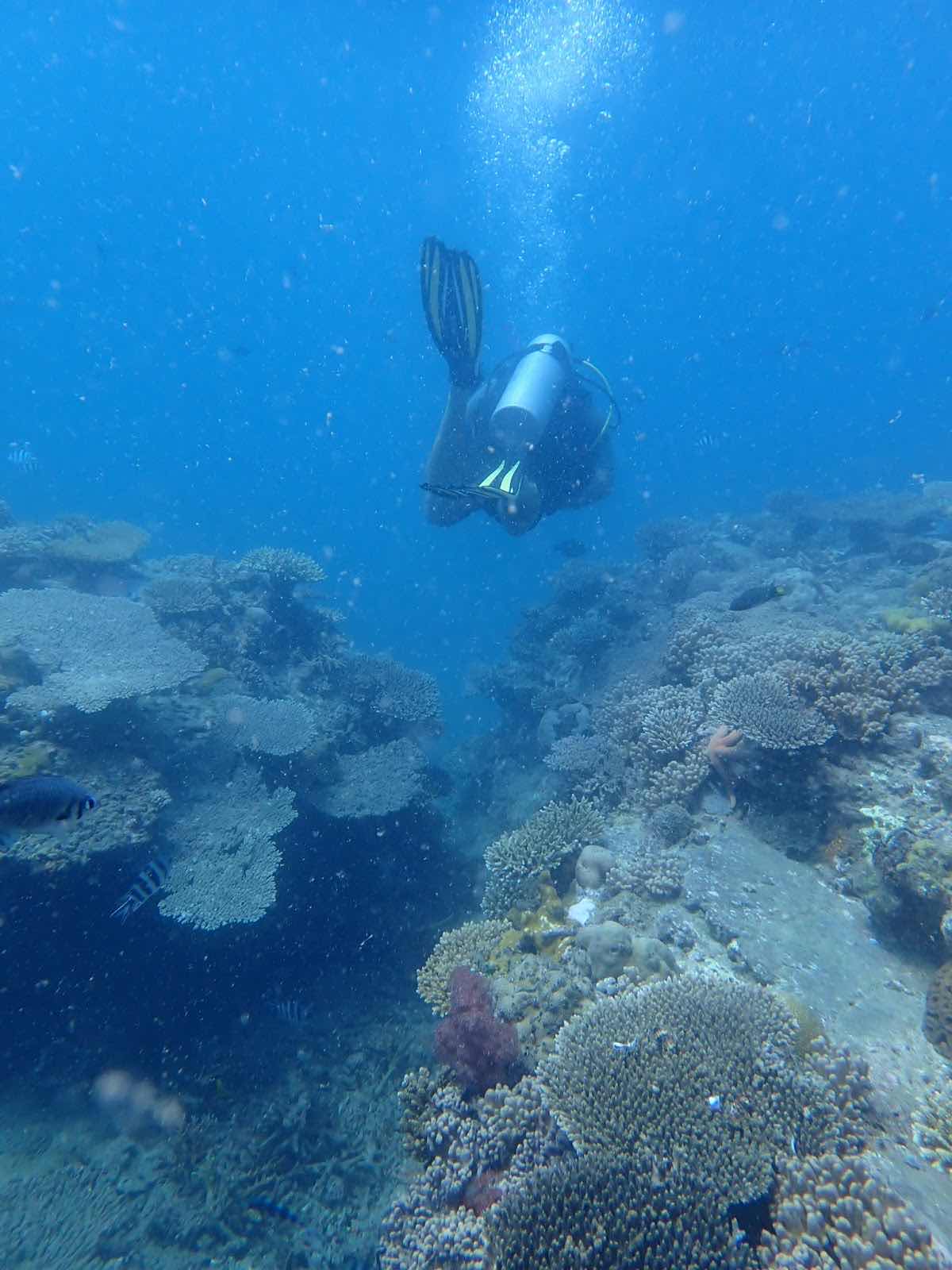 YLANG DIVE CENTER photo 9