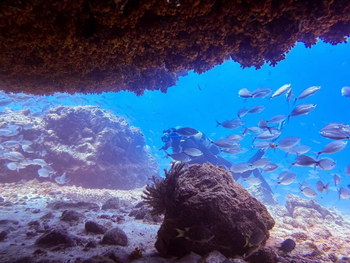 Sao Nicolau Diving photo 6