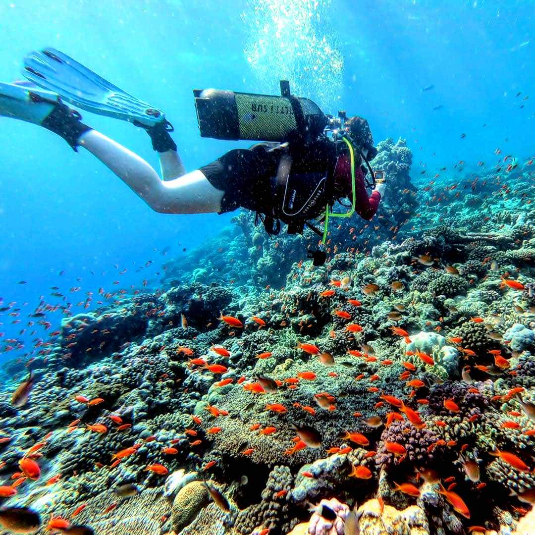 Charisma Diving Center photo 5