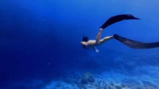 Scuba Diving Cuba - UnderwaterCuba photo 2