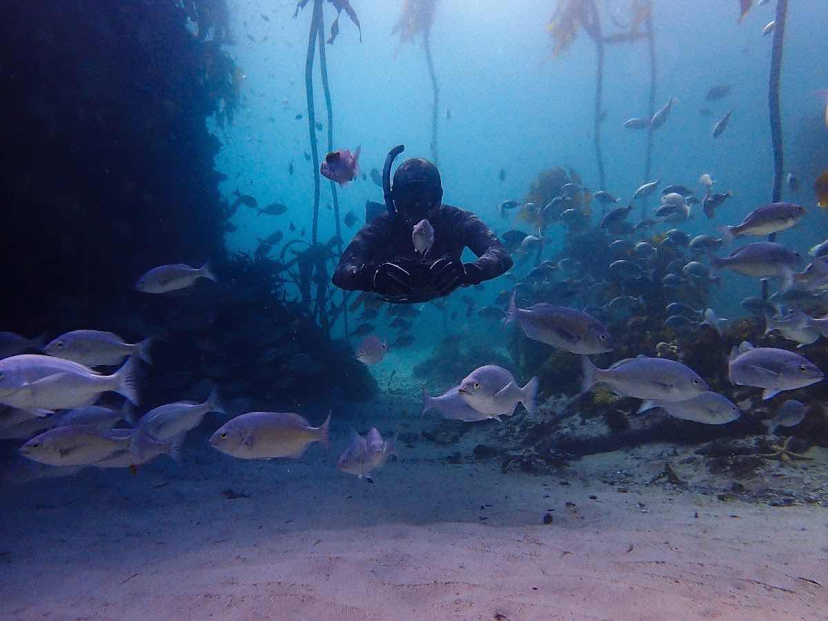 FREEDIVING AFRICA photo 7