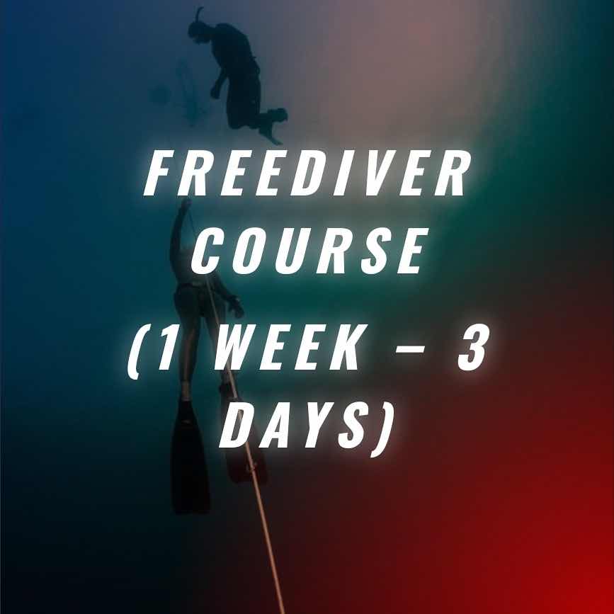 FREEDIVING AFRICA photo 8