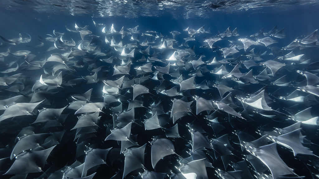 Blue Wave Below photo 1