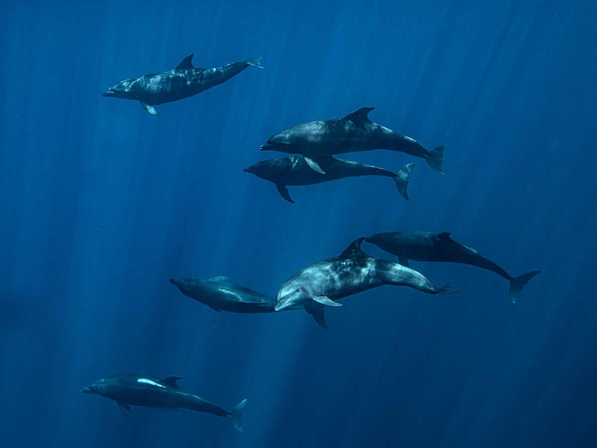 Blue Wave Below photo 2