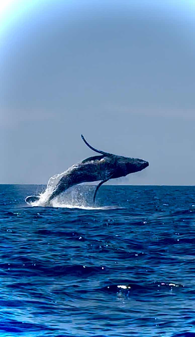 Blue Wave Below photo 3