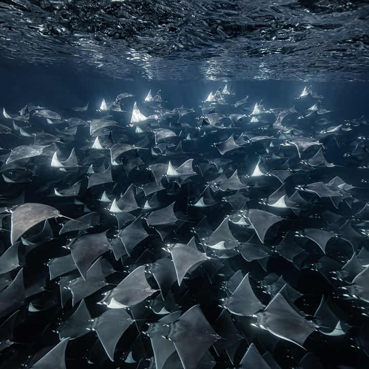 Blue Wave Below photo 7