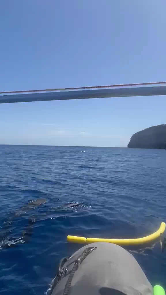 Deep Med - Freediving Malta & Gozo photo 3