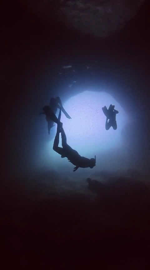 Deep Med - Freediving Malta & Gozo photo 4