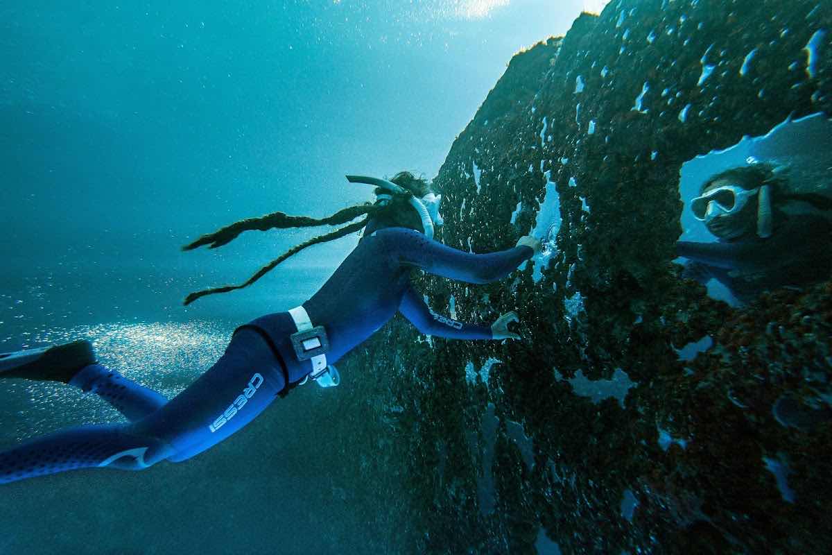 Deep Med - Freediving Malta & Gozo photo 6