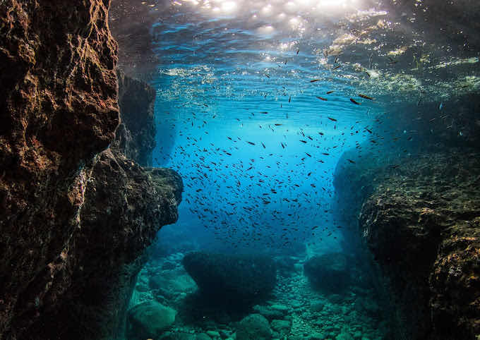 Deep Med - Freediving Malta & Gozo photo 9