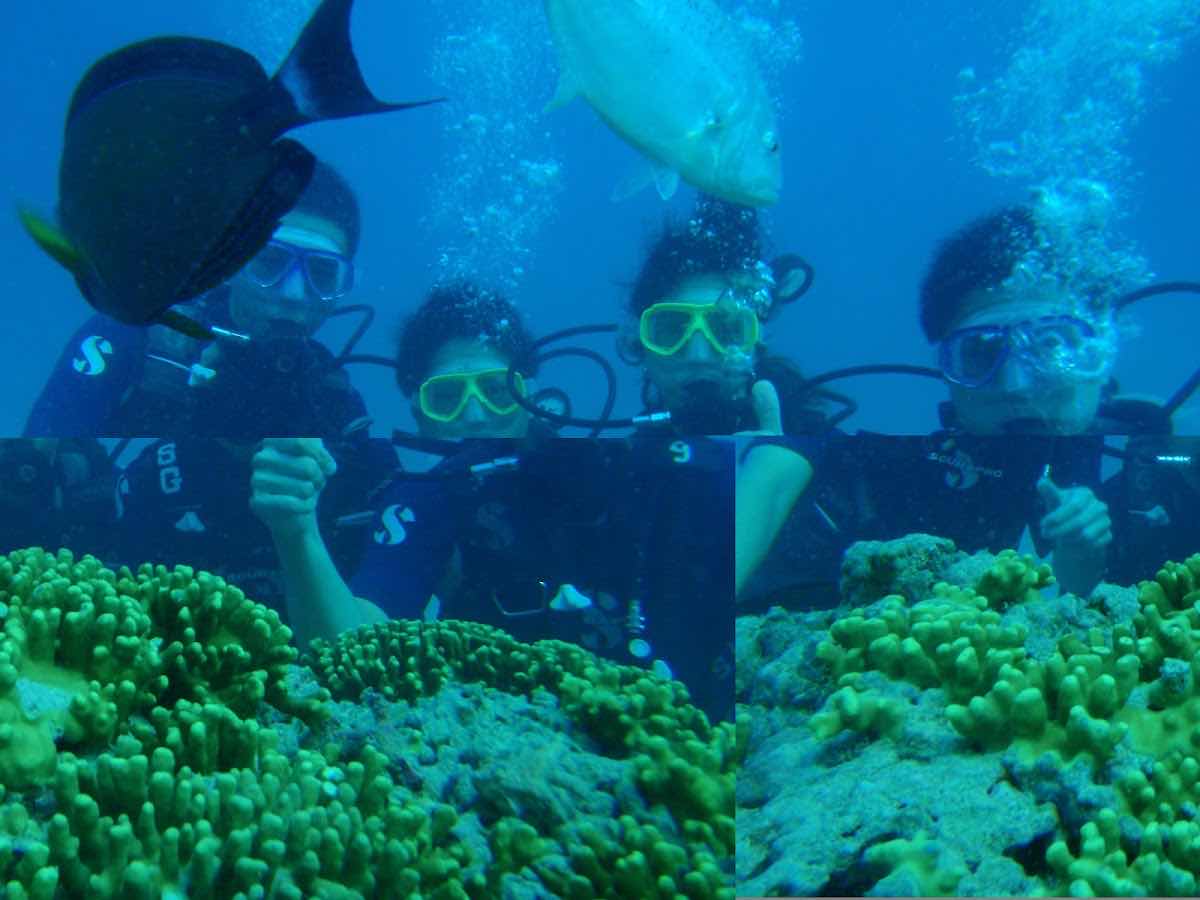 關島潛水小康之家 Shotguns Scuba Diving photo 1