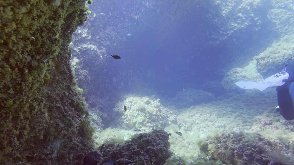 Tramuntana Diving & Adventure photo 3