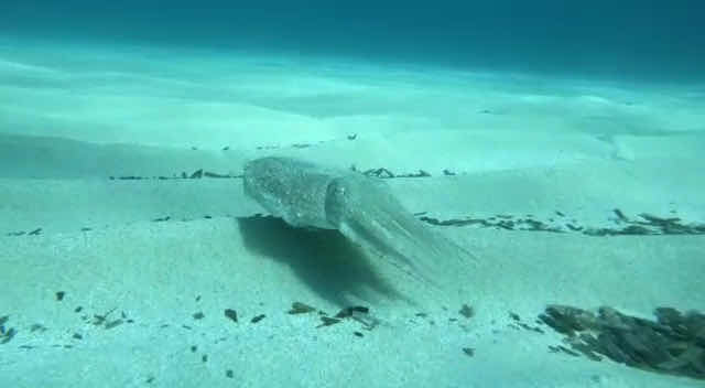 Tramuntana Diving & Adventure photo 4