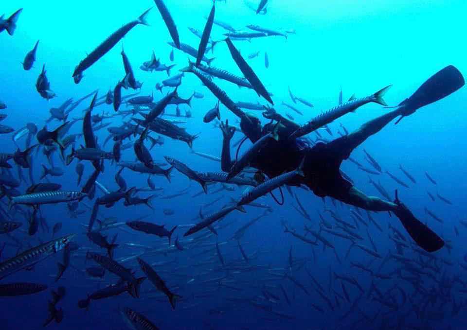 Tramuntana Diving & Adventure photo 9