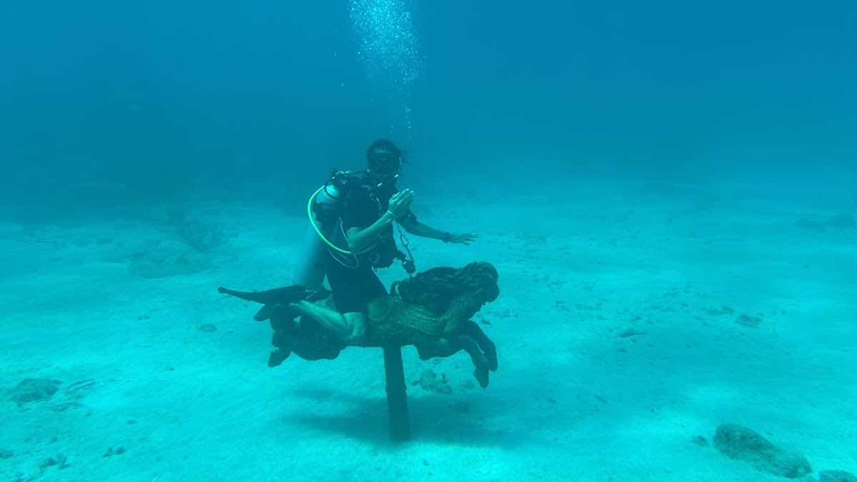 IBIS - Cane Bay Dive Shop photo 7