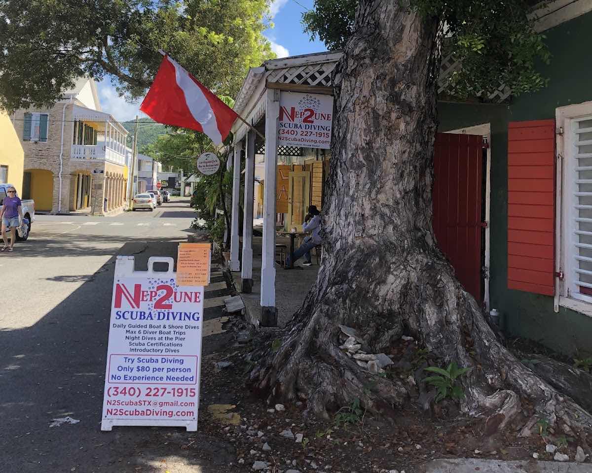 IBIS - Cane Bay Dive Shop photo 9