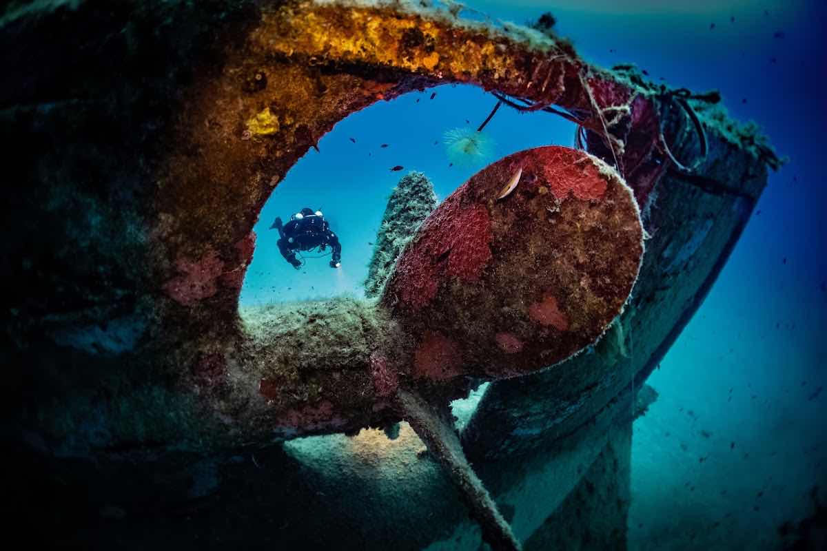 Starfish Diving Malta photo 10