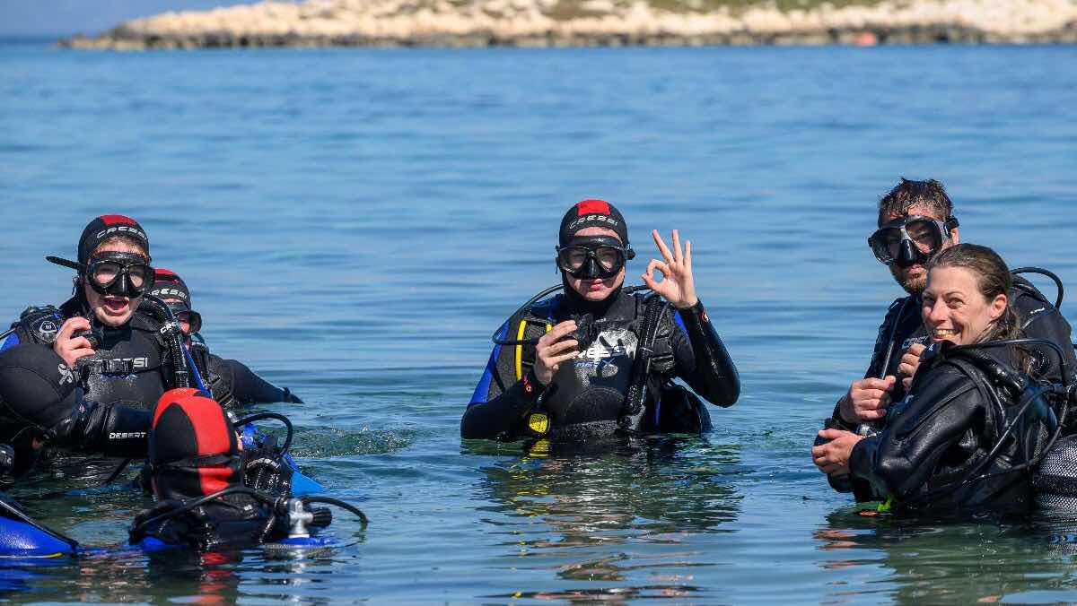 Aqualized Dive Adventures photo 1