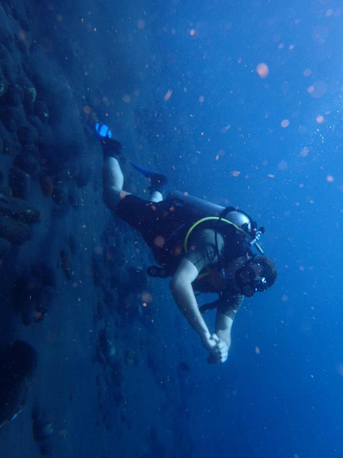 Aqualized Dive Adventures photo 7