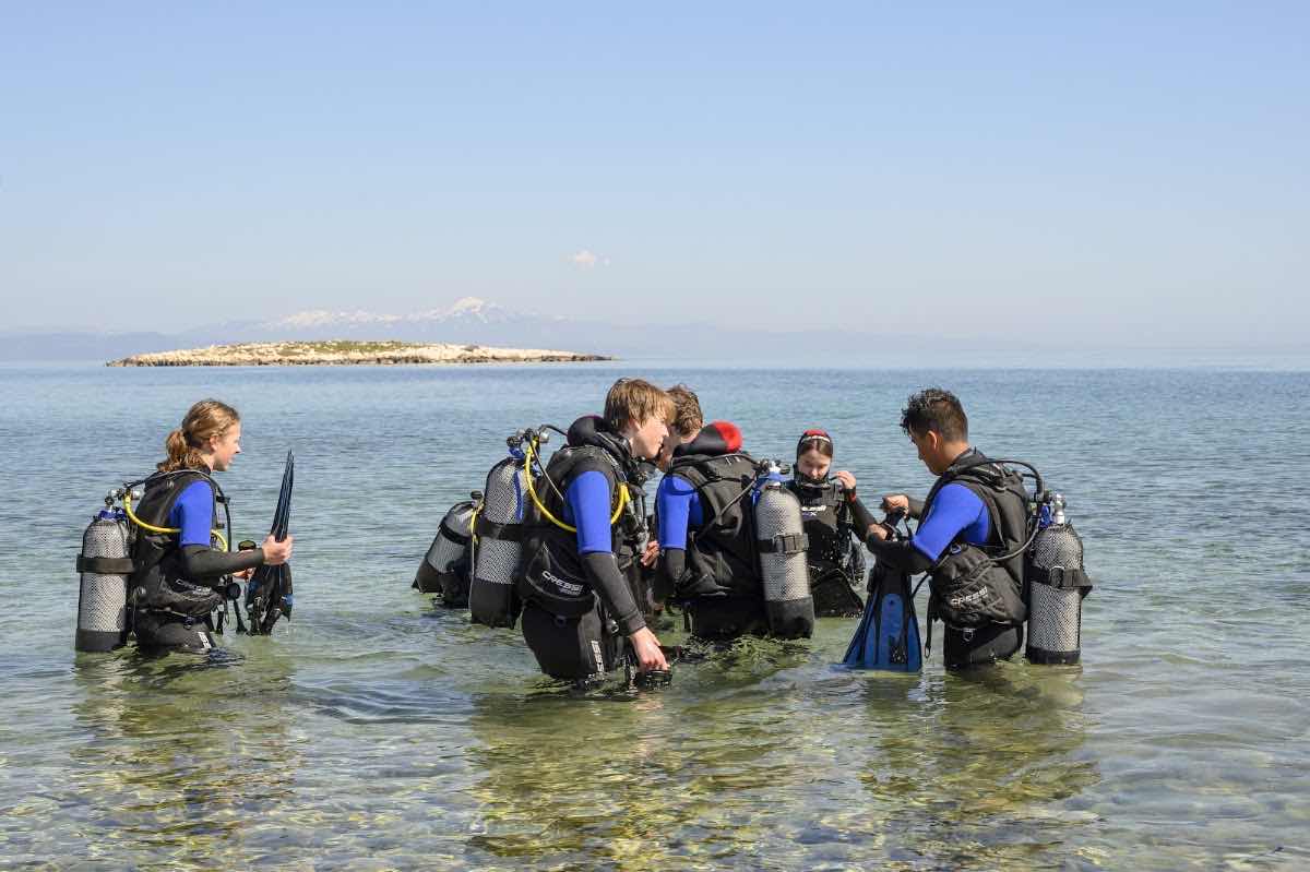 Aqualized Dive Adventures photo 10