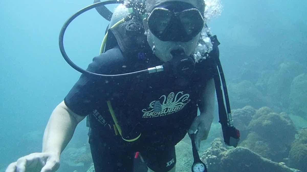 Big Bubble Dive Resort photo 3