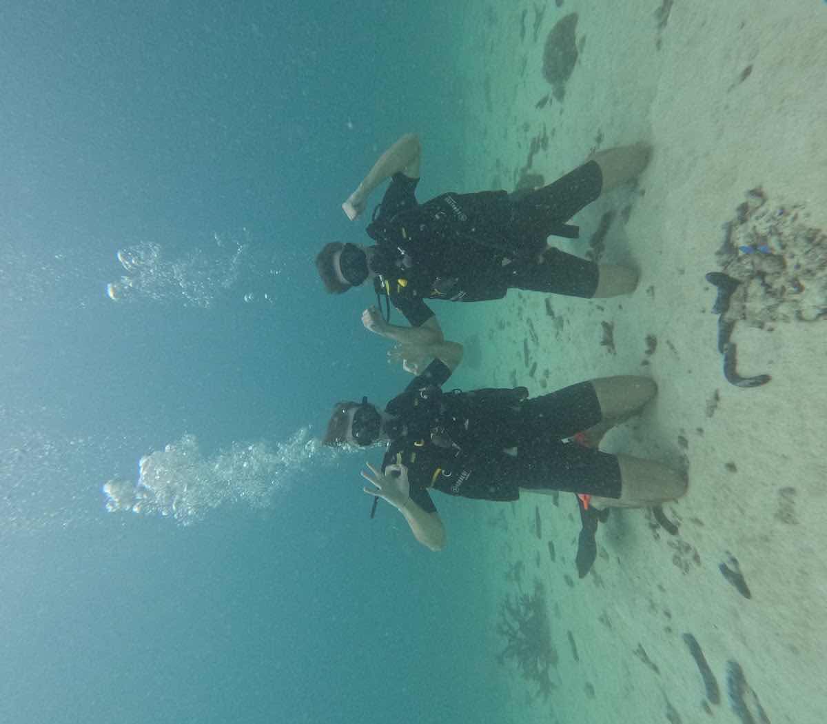 Big Bubble Dive Resort photo 8