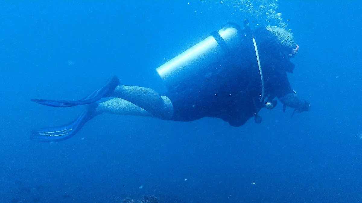 Big Bubble Dive Resort photo 9