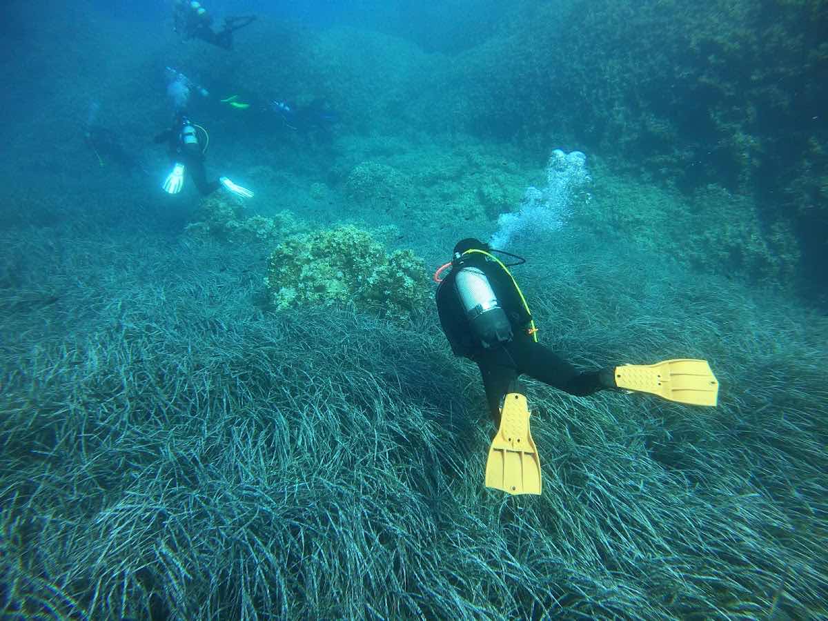 Blue Sea - Scuba Diving Center Zadar photo 5