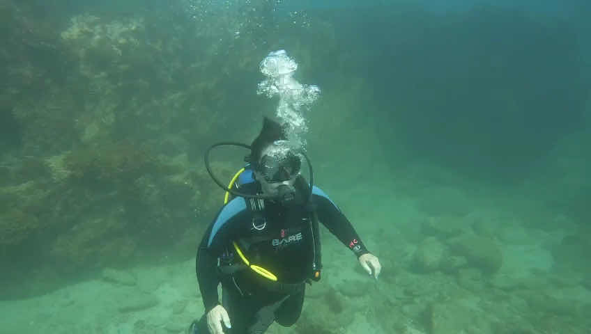 Hammerhead Divers photo 3