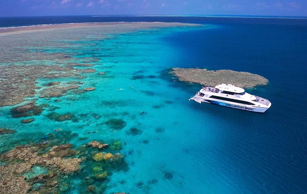 Great Barrier Reef Tours Port Douglas photo 2