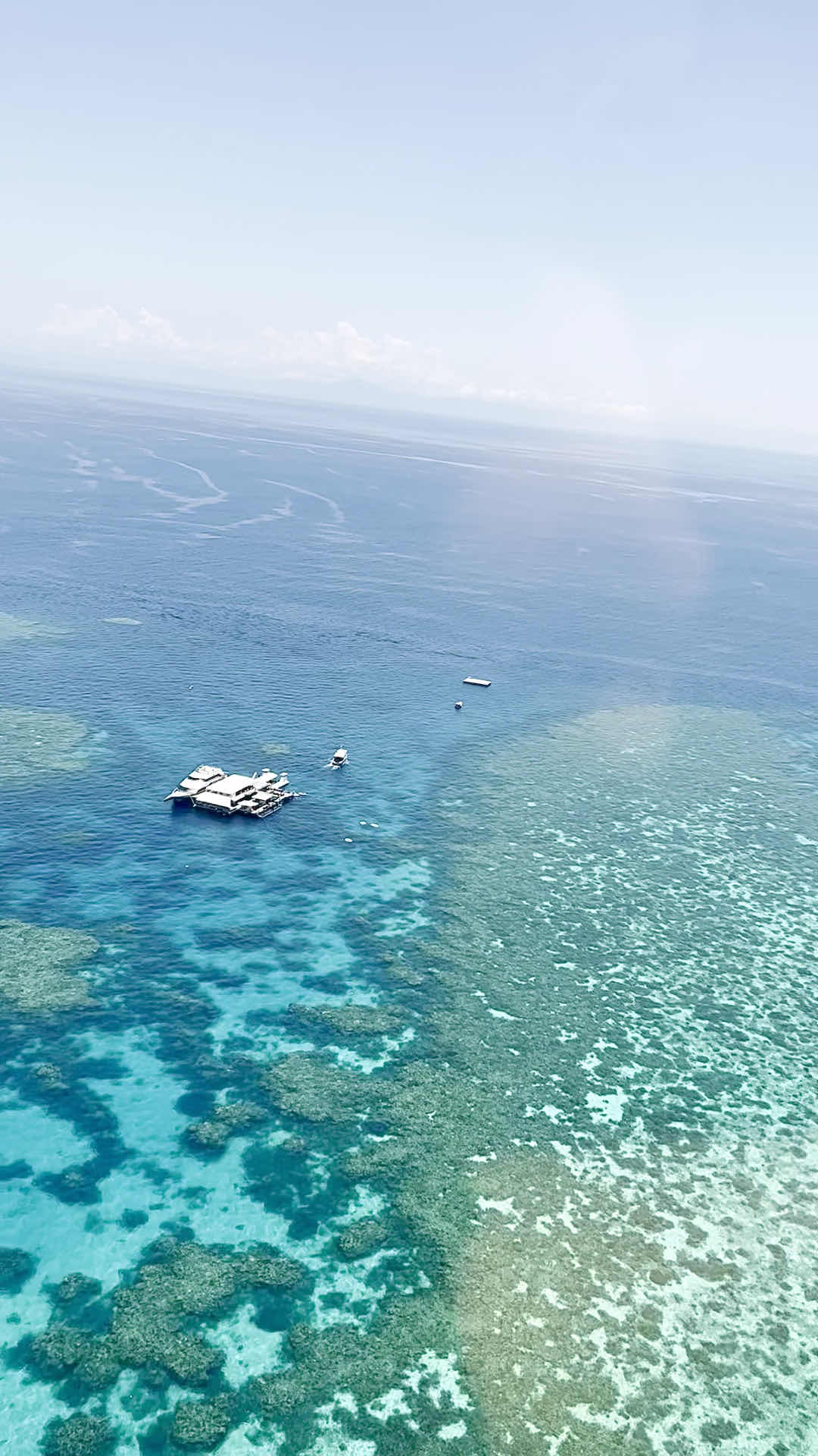 Great Barrier Reef Tours Port Douglas photo 3