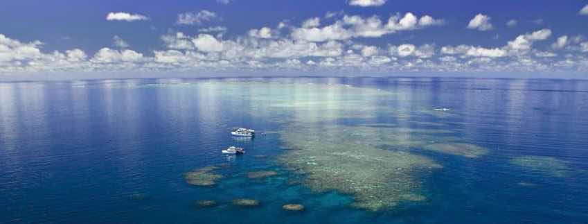 Great Barrier Reef Tours Port Douglas photo 4