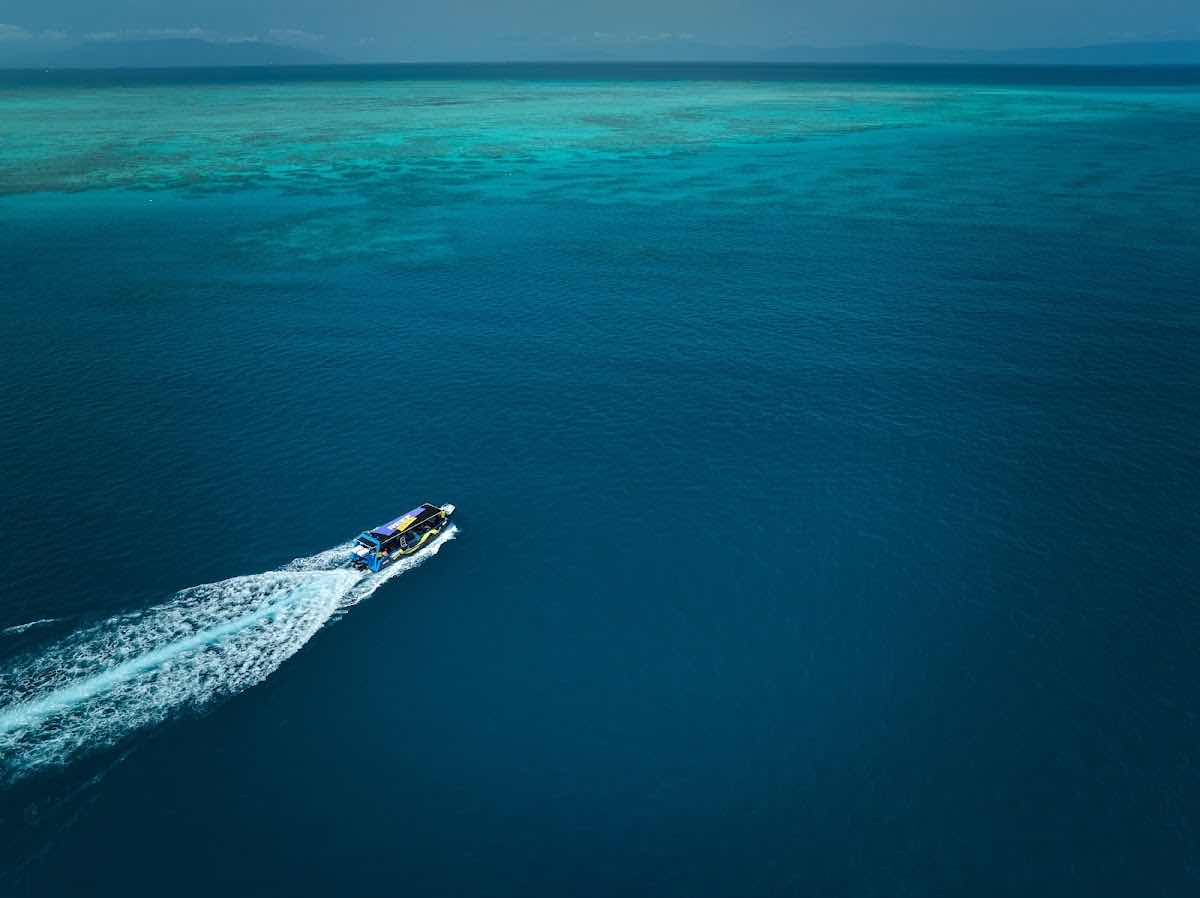 Great Barrier Reef Tours Port Douglas photo 6