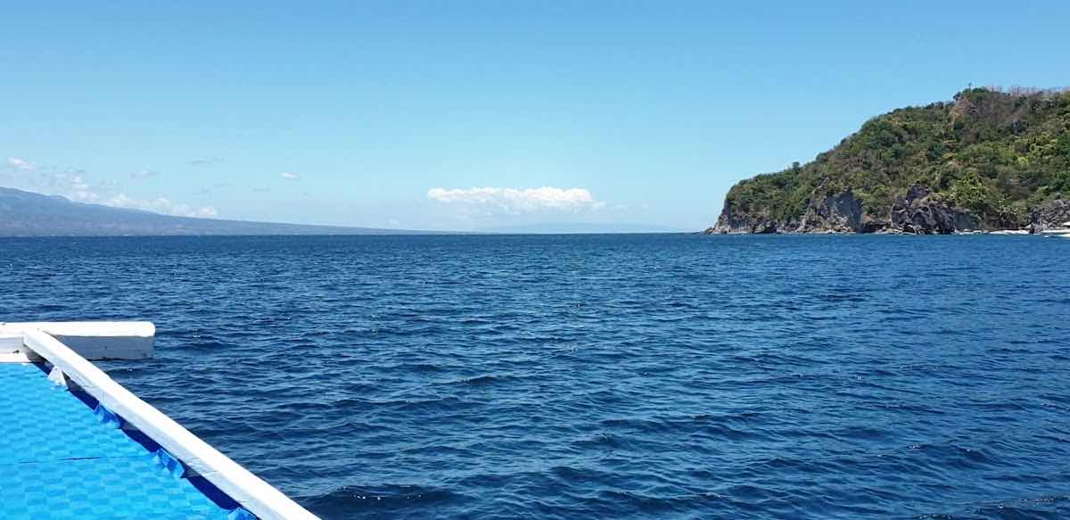 Katipanan Dive Site, Apo Island photo 10