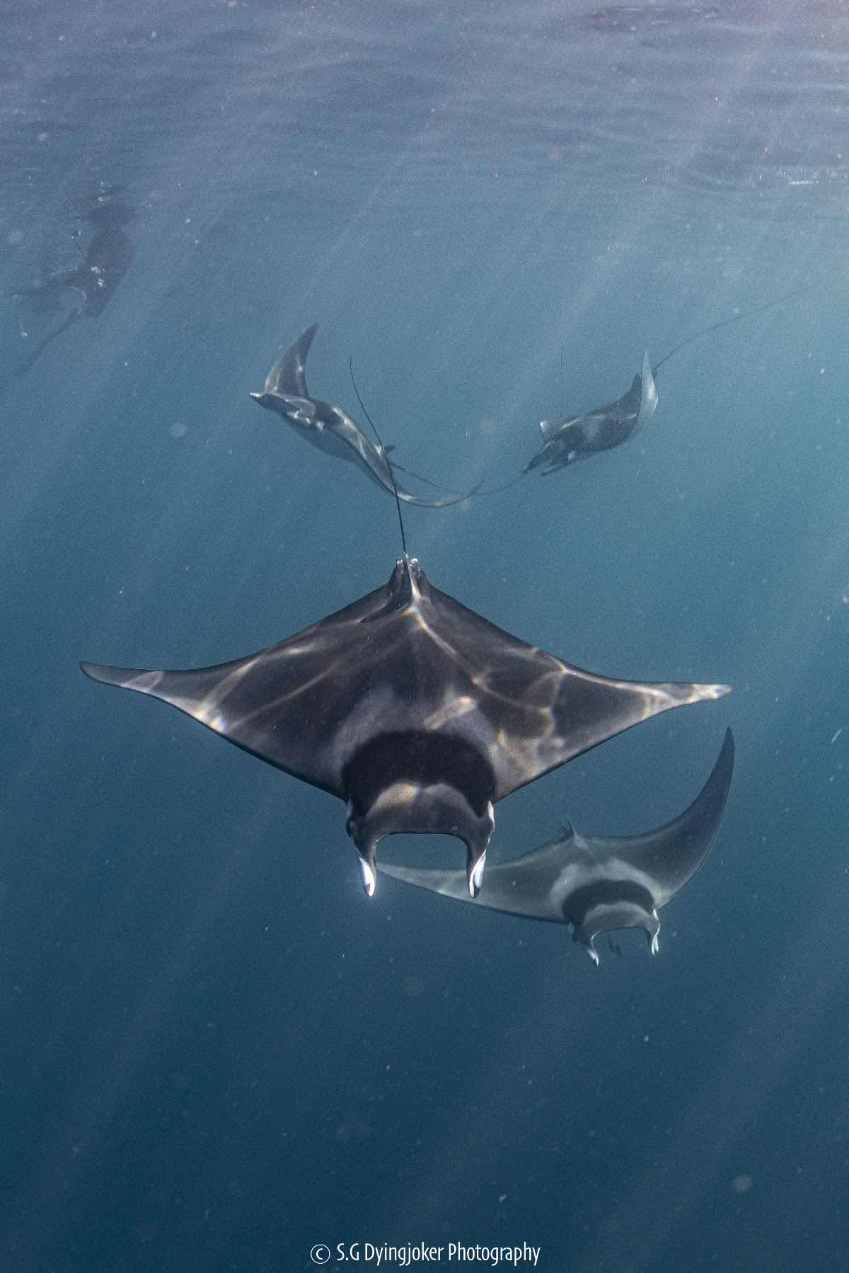 Baja Ocean Extreme photo 2