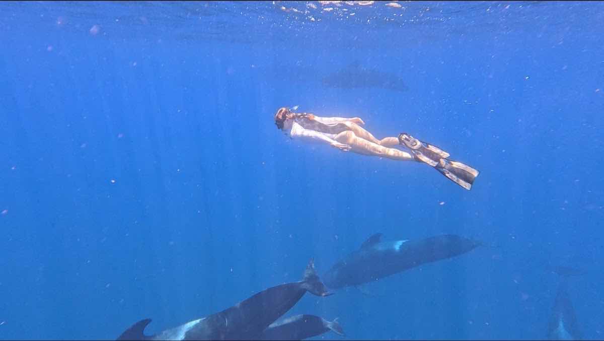 Baja Ocean Extreme photo 9