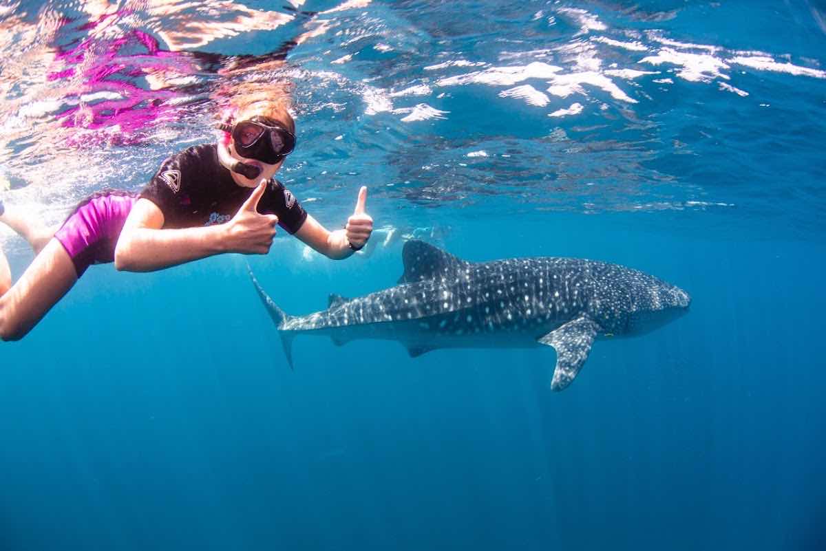 Ningaloo Blue Dive photo 5